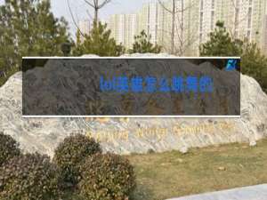 lol英雄怎么跳舞的