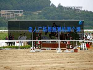 老人广场舞跳舞机哪个牌子好