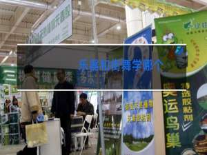 乐器和街舞学哪个