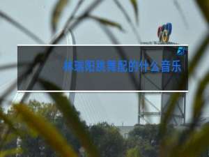 林瑞阳跳舞配的什么音乐