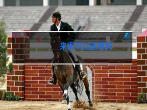 来事可以跳舞吗