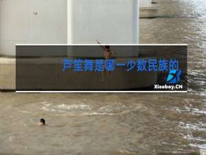 芦笙舞是哪一少数民族的舞蹈