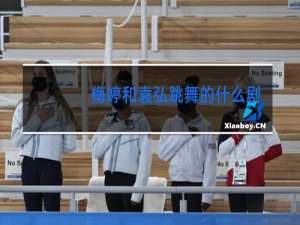 梅婷和袁弘跳舞的什么剧