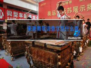 来跳舞歌词查尔瓦什么意思