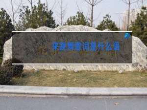 来跳舞歌词是什么语