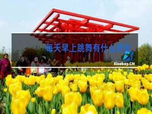 每天早上跳舞有什么好处