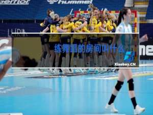 练舞蹈的房间叫什么