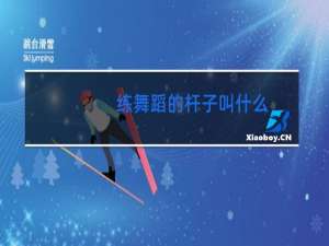 练舞蹈的杆子叫什么