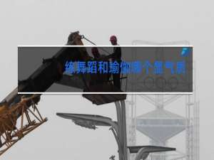 练舞蹈和瑜伽哪个显气质