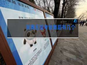 民舞五级考级舞蹈有几个