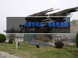 刘宪华和王一博跳舞是哪一期