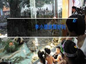 李小璐跳舞好吗