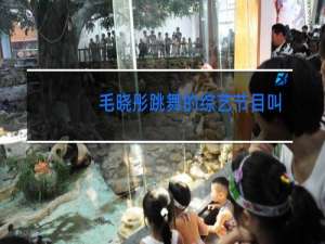 毛晓彤跳舞的综艺节目叫什么名