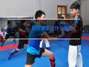 刘亦菲学过什么舞蹈