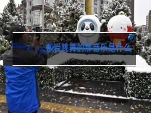 柳岩跳舞的那音乐是什么