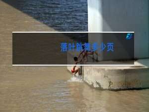 落叶跳舞多少页