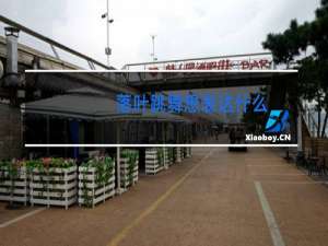 落叶跳舞想表达什么