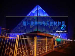 落叶跳舞中冬天的树林是什么样的