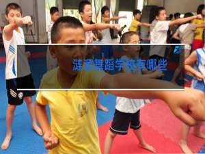 涟源舞蹈学校有哪些