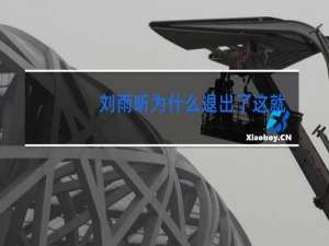 刘雨昕为什么退出了这就是街舞