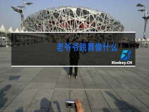 老爷爷跳舞像什么