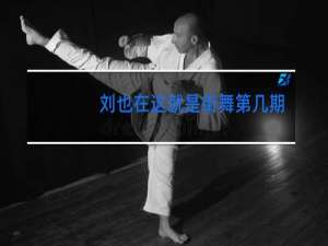 刘也在这就是街舞第几期