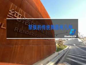 黎族的传统舞蹈有几种