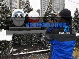 苗族的舞蹈特点有哪些