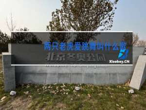 两只老虎爱跳舞叫什么歌