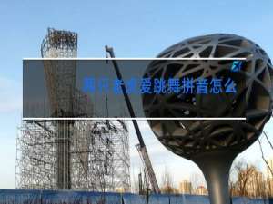 两只老虎爱跳舞拼音怎么写