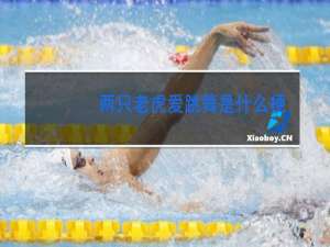 两只老虎爱跳舞是什么歌名歌词是什么意思