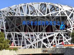 两只老虎爱跳舞是怎么火的