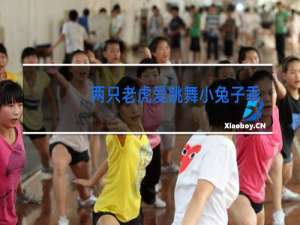 两只老虎爱跳舞小兔子乖乖拔萝卜叫什么歌