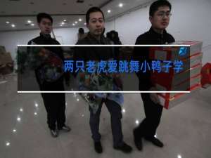 两只老虎爱跳舞小鸭子学走路是什么歌