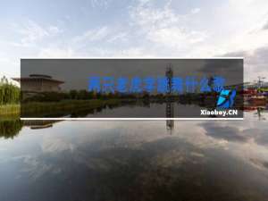 两只老虎学跳舞什么歌