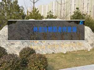 林志玲舞蹈老师是谁