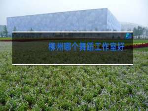 柳州哪个舞蹈工作室好