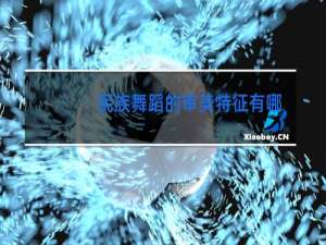 民族舞蹈的审美特征有哪些