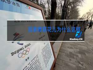 民族舞蹈花儿为什么这样红赏析