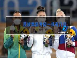 民族舞蹈考级一共有几级