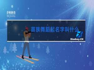 苗族舞蹈起名字叫什么