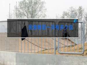 民族舞蹈一共有多少级