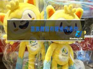 苗族舞蹈有哪些代表作
