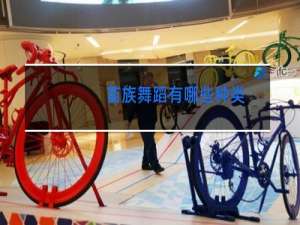 苗族舞蹈有哪些种类