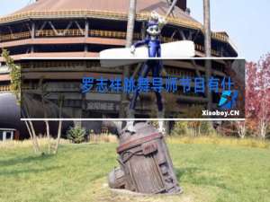 罗志祥跳舞导师节目有什么