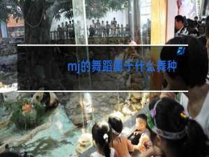 mj的舞蹈属于什么舞种