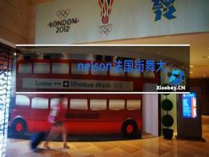 nelson法国街舞大神几几年出生