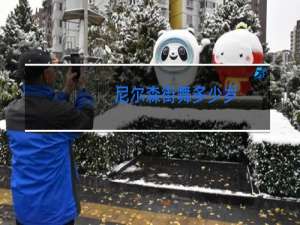 尼尔森街舞多少岁