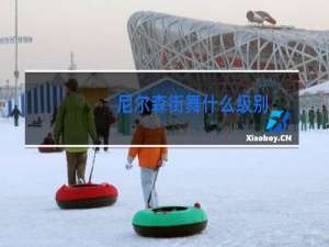 尼尔森街舞什么级别