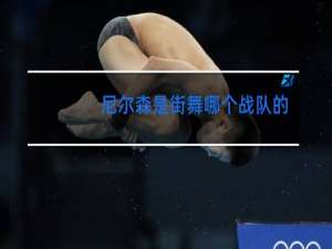 尼尔森是街舞哪个战队的